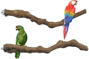 Allazone 2 PCS Perchoir Perroquet, Jouets Oiseaux en Bois, Jouet à Suspendre pour Perroquet, Bois Pieds Perchoirs, Balançoires, Échelles, Perché