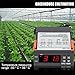 Produktbild megai Schwarz Digital STC-1000 Allzweck-Temperaturregler Thermostat mit Sensor Temperatur Instrument Diagnose-Tool
