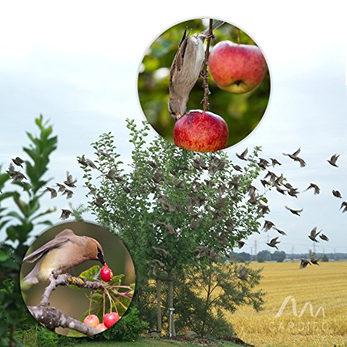 Gardigo Solar Vogelabwehr elektronische Vogelscheuche mit Ultraschall und Blitzlicht - 5