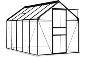 vidaXL Gewächshaus mit Fundamentrahmen Garten Treibhaus Pflanzenhaus Frühbeet Gartenhaus Tomatenhaus Anthrazit Aluminium Polycarbonat 5,89 m³