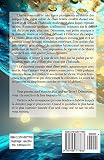 Image de Connexion: Le Cycle des dômes