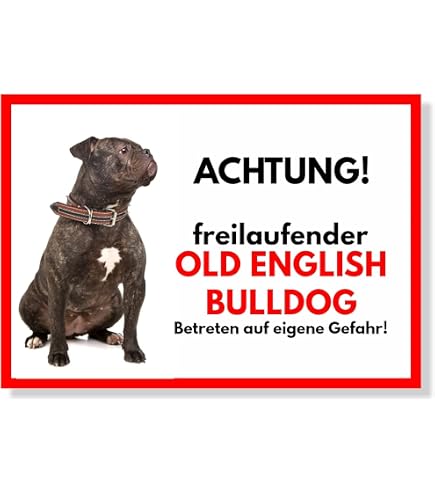 Retro Blechschild Französische Bulldogge – 28x12 Cm, Witziger Spruch, Geschenkidee Für Hundefreunde