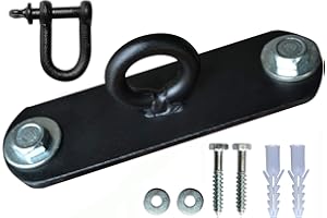 Aasta Punch Bag Ceiling Hook for 200kg heavy Duty Bag