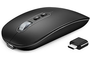 PINKCAT Raton Inalambrico, Modo Dual Recargable Raton USB C (Bluetooth 5.1 + USB C), Ratón Bluetooth, Mouse Inalámbrico, Ratón Ergonómico y Silencioso para MacBook Air/Pro, iPad, Mac, Ordenador