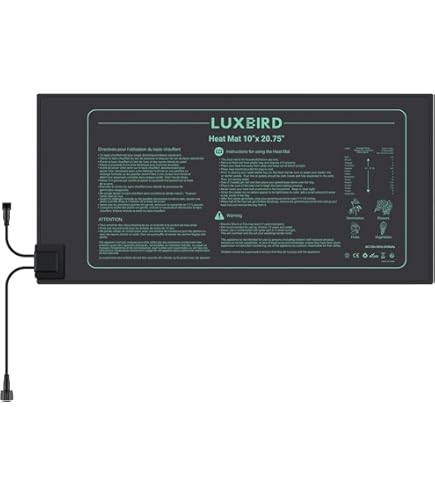 Luxbird