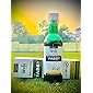 Mag FABBY Syrup - 500 ml Enriched with Omega 3 Fatty Acids | Natural Fat Burner | Helps in Weight Loss | Reduces Gas…