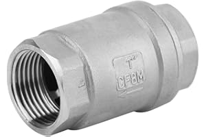 Dekaim Valvola di Ritegno, Valvola di Ritegno di Non Ritorno con Filettatura Femmina in Acciaio Inossidabile 304 per Gas d'Acqua(1"(Dn25)) per Il Collegamento alle Pompe(Argento