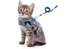 Feimax Pettorina per Gatti con Guinzaglio, a Prova di Fuga, Regolabile, Imbottito in Morbida Rete Traspirante, Imbracatura Riflettente per Passeggio per Gatto Piccolo e Medio