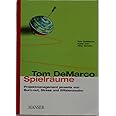 Spielräume. Projektmanagement jenseits von Burn-out, Stress und Effizienzwahn.