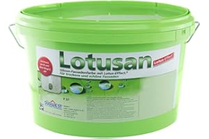 SUEDWEST VERLAG Südwest Lotusan Silikonharz-Fassadenfarbe 12,5 Liter