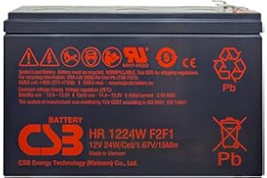 CSB HR 1224W F2F1 - Batería de plomo (12 V, 24 W, 1,67 V/15 min)