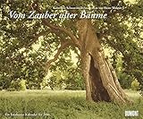 Image de Vom Zauber alter Bäume - Fotokunst-Kalender 2006