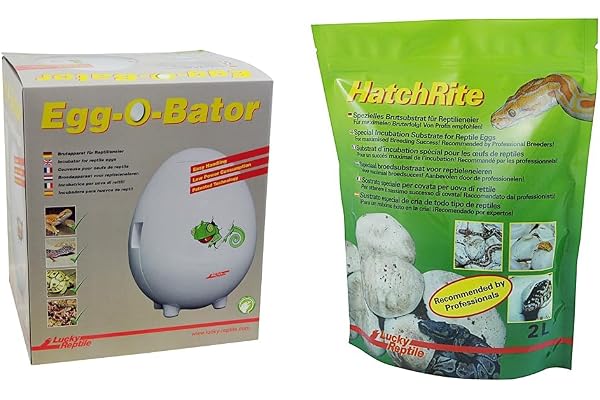 Lucky Reptile inkubator för reptilägg 4L - reptilinkubator Egg-O-Bator inklusive äggdoser - TÜV-godkänd inkubator på 5 W/h 1