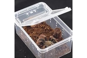 GEMINI_MALLL Gemini_mall Tierpfleger, transparente Kunststoffbox, Tank, Insekten, Spinnen, Reptilien, Zuchtbox, Transport, Futterkoffer für Mini-Haustierhäuser, transparent