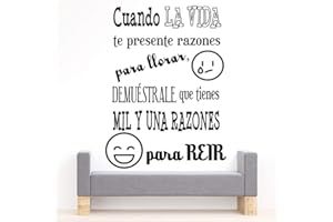 Docliick® Vinilos de pared decorativo con frase decorativa "CUANDO LA VIDA TE PRESENTE RAZONES." Pegatinas decorativas pared. Decoración casa Docliick DC-19108 (Vinilo de corte, 60x42cm)
