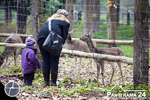 Gartenzaun Wildzaun Weidezaun Zaun Knotengeflecht 50 Meter 125/16/15 inkl. 10m Spanndraht - 6