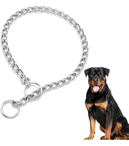 Choker Chain Chain Control Collar For Dogs No Pull Dog Collar Dog