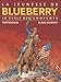 La Jeunesse de Blueberry - collection Magnum - tome 1 - Cycle des complots by 