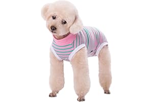 Wisebom Combinaison de Récupération pour Chien, Combinaison Rayée Post-Chirurgie Chiens Mâles et Femelles Alternative Collier Électronique à Cône Body pour Chiens (Rayures Roses Vertes, M)