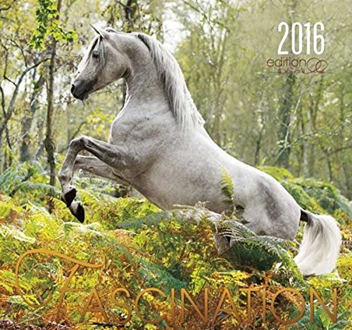 Fascination 2016