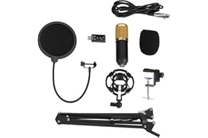 AYNEFY Micrófono de Condensador BM800 Profesional Cardioide Estudio Brazo De Condensador Soporte para MicróFono de Doble Capa Filtro de Espuma Kit De Accesorios para Grabación en Acero Inoxidable