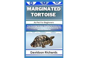 MARGINATED TORTOISE As Pet For Beginners: From Knowledge To Value - Simplified Pet Tortoise Care And Training Book For Owners On All The Knowledge You Have Ever Wished For