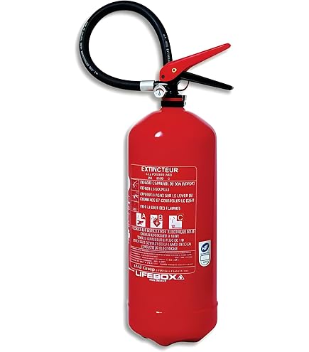 Lot De 3 Extincteurs à Poudre 6 Kg ABC – Certifié CE Et DIN EN 3, Résistant Au Gel, Avec Support Mural, Idéal Maison Et Bureau