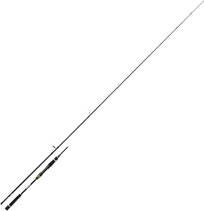 canne daiwa black gold seabass