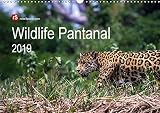 Wildlife Pantanal 2019 (Wandkalender 2019 DIN A3 quer): Im Reich des Jaguar - einzigartige Wildtiere des brasilianischen Pantanals in schönen Bildern ... (Monatskalender, 14 Seiten ) (CALVENDO Tiere) by
