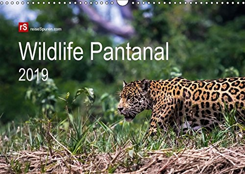 Wildlife Pantanal 2019 (Wandkalender 2019 DIN A3 quer): Im Reich des Jaguar - einzigartige Wildtiere des brasilianischen Pantanals in schönen Bildern ... (Monatskalender, 14 Seiten ) (CALVENDO Tiere)