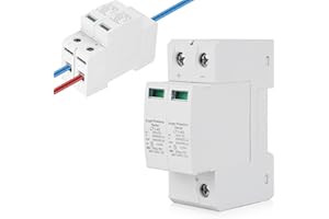Protezione da sovratensione DC PV guida DIN protezione contro i fulmini: Nizirioo Dehn protezione da sovratensione, protezione PV 2P 1000VDC 40KA(2P40KA)