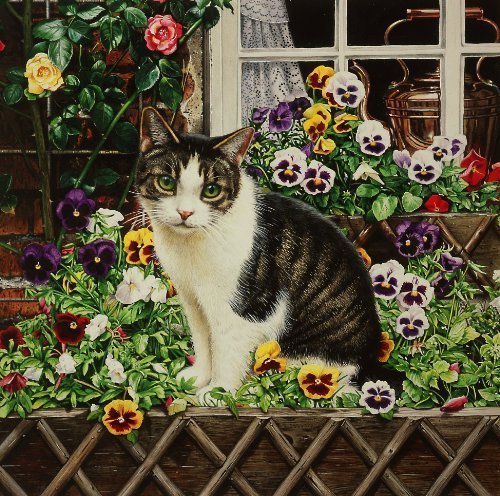 Pansy, the Tabby Cat with Flowers in the Window Box, Greeting Card by Geoff Tristram, Greetings Card Size Approx. 140 x 140mm by OFA Greeting Cards