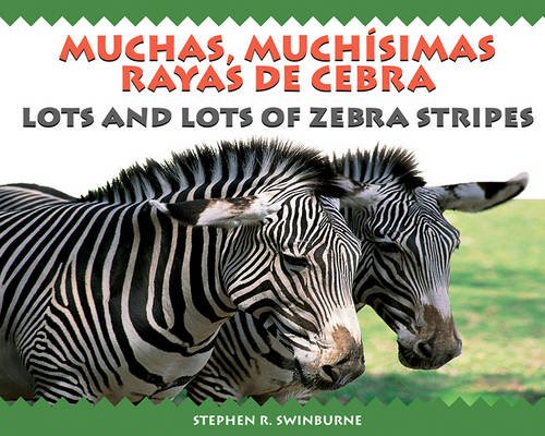 Download Muchas, Muchisimas Rayas de Cebra/Lots and Lots of Zebra Stripes Download Muchas, Muchisimas Rayas de Cebra/Lots and Lots of Zebra Stripes