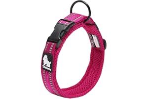Truelove Dog Training Collar TLC5011 Reflective Premium Buckle Pet Collars, High Grade Nylon Webbing No Choke Basic Collars Now Available (L, Fushcia)