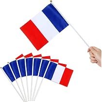 Lot De 24 Mini Drapeaux Rouges 14x21cm Avec Hampe - Drapeaux à Main Pour Événements Sportifs Et Fêtes