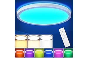 LEZOE 18W RGB LED Deckenleuchte Dimmbar mit Fernbedienung, 1800LM LED Deckenlampe Dimmbar RGB Farbwechsel, 3000K-6500K IP54 Flach Panel für Wohnzimmer Schlafzimmer Kinderzimmer Küche Bad φ22x2.5cm