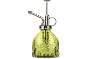 KoGiio Szklana butelka z rozpylaczem do roślin, 200 ml, retro, relief, z pompką, rozpylacz do roślin na balkon, małe rośliny ogrodowe, do domu lub biura, zielona