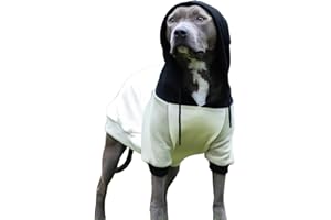 Spark Paws Sweat à capuche pour chien – Doux comme du beurre, confort et ajustement supérieurs, intérieur en polaire apaisant, convient à toutes les races – Crème olive – Taille 3XL