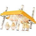 Chick Brooder Heating Plate,Adjustable Height and Angle Chick Brooder,Safe Incubators Alternative to Heat Lamps and Hens,for Chicks/Ducks Thermostat (10" x 10") for 15 Chicks - Yellow