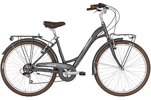 Alpina Bike, Bicicletta Trekking 6v Donna Dorothy