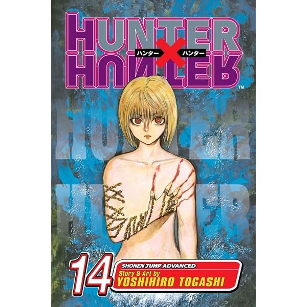 Hunter x Hunter, Vol. 13: September 10th (English Edition) eBook