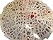 10 or 20 Sheets (75-150+ tattoos) Girls Ladies Black Colourful Celtic Flowers Roses, Butterflies, Hearts style Temporary Tattoos for parties, gifts, etc - by Fat-Catz-copy-catz (20x girls tattoo sheets)