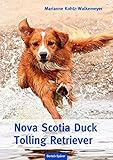 Image de Nova Scotia Duck Tolling Retriever