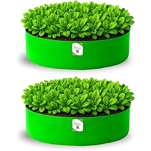 ORGANIC BAZAR 24x6 Leafy Grow Bag for Terrace Garden, Premium HDPE 260 GSM Green Plant Bags for Leafy Vegetables (Pack of 2)