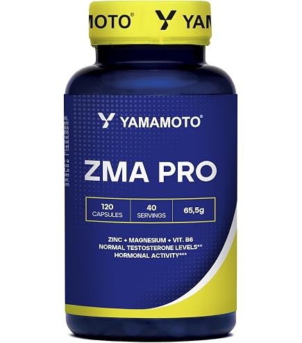 acetyl l carnitine yamamoto 60 capsule Yamamoto Nutrition Acetyl L-carnitine, 1000mg