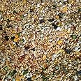 ZM Bird Food for All Kinds of Birds 1000gms (Mixed and Crushed Grains)