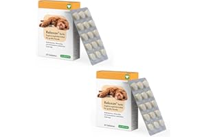 CP-PHARMA cp pharma Relaxan forte | Doppelpack | 2 x 30 Tabletten | Ergänzungsfuttermittel für große Hunde | Mit Multivitaminen