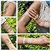 6 Sheets Jewelry Tattoo Sticker Temporary Waterproof Decal Paper Peacock Feather Sexy Products