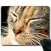 Produktbild Hohe Qualität, ist nicht leicht zu Bad Maus Pad Animal 22 x 17,8 cm Katze mit geeignet für Carry mp031627