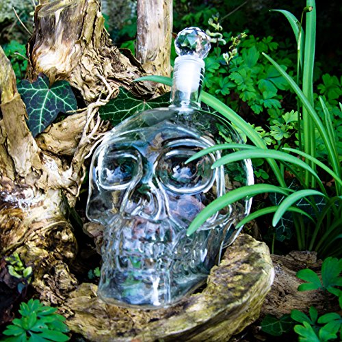 Skull – Flasche (1000 ml) für die Hausbar / Party/ Halloween/ Geschenk im Totenkopfdesign, Vodka -Whiskey – Flasche Kristall – Schädel, Totenkopf, Wein- Dekanter, Schnapsglas, transparent - 3